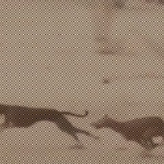 figo_greyhound | primal_delivery