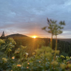 “Alaska” | made on the Rapchat app (prod. by Kyu Tracks)