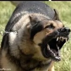 POP IT AGAIN, MR KRUMP (Fuurgg)