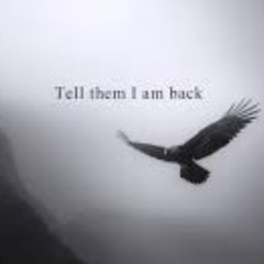 BacktoST (Feat. Nined, 여문결)