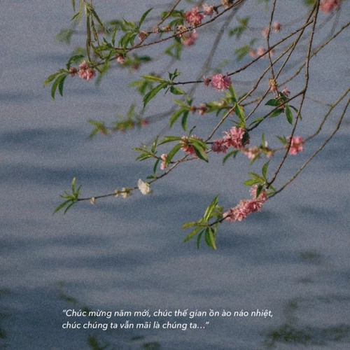 野草与栀子花 - Cỏ dại và hoa dành dành - Bản nữ