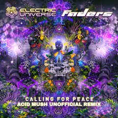 Electric Universe & Faders - Calling for Peace (Acid Mush Unofficial Remix)