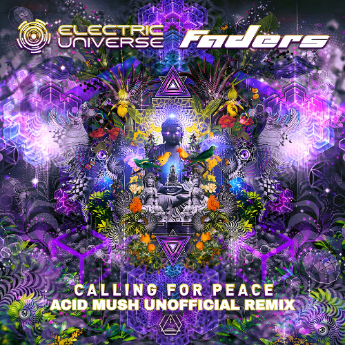 Electric Universe & Faders - Calling for Peace (Acid Mush Unofficial Remix)