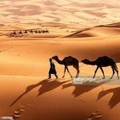 Sahara Disco / YT video (link in description)