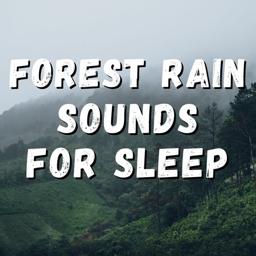 Forest Rain Sounds For Sleeping, Pt. 3