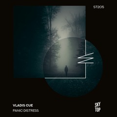 Vladis Cue - Not A Hipster Story [SkyTop]