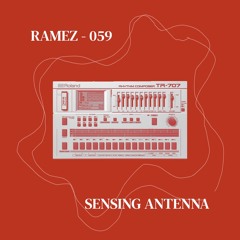 [Sensing Antenna] Ramez - 059