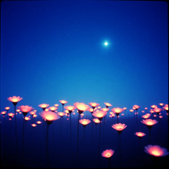 Lanterns Of Love