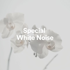 Nudge White Noise