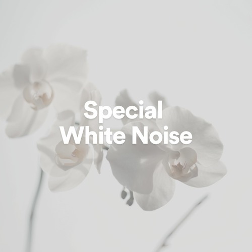 Nudge White Noise