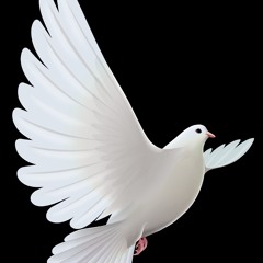 Mujhe Tu AaZmA  Mai Urra