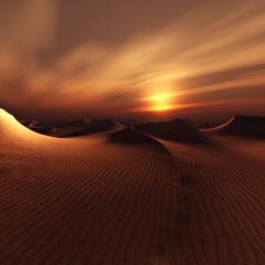 Desert Bloom IV