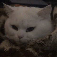 CONTRUST - CUMING OUT