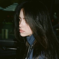 SKINNY voice note - Billie Eilish