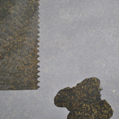 SEQUENCE 01 x 02/06/2026