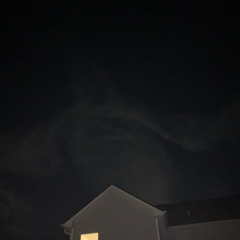 shark bite