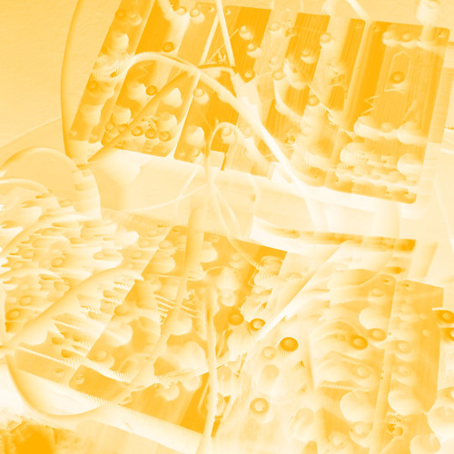 010321003 Plumbutter Cocoquantus