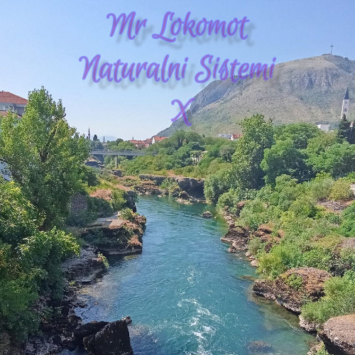 Naturalni Sistemi X