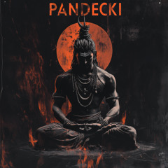 Spiritual Deeptech / Downtempo / Oriental / EthnoAcid / Organic | Pandecki | Sielanka Fest 8-10.09.2025