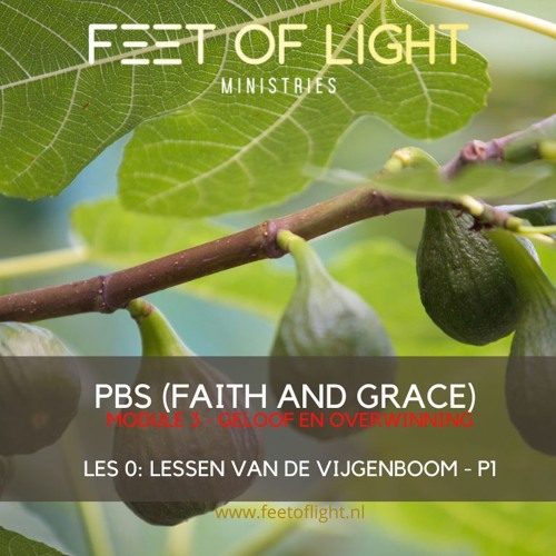 2024-10-28 - PBS - Lessen van de vijgenboom - Part 1