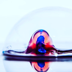 willow, waves and sky