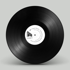 LNS012: Francofonte (LTD Vinyl included 909 Resistance rmx)