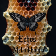 A Dead Poet N MelanKholyia