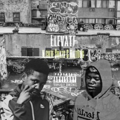 Elevate