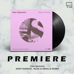 PREMIERE: Sam Sparacio - Deep Sunrise (Blue & Smallz Remix) [BEAT BOUTIQUE]