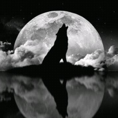 Aware Wolf