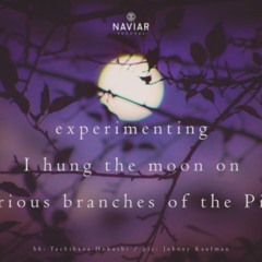 naviarhaiku391: experimenting