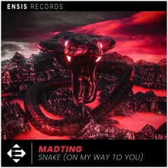 MadTing - Snake (On My Way To You)[OUT NOW]