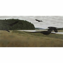 Seven Crows