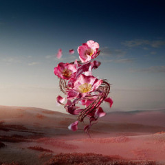 Real Love Is All Around