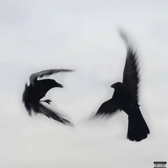 FEDERALS (FEAT.W3ST)