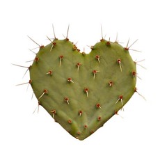 Don't Hate Me (For Loving You)