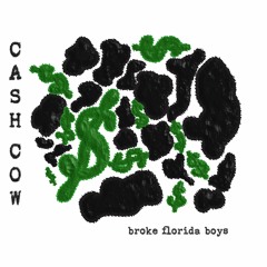BROKE FLORIDA BOYS ~ CA$H COW