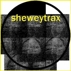 LiveBetterElectrically Spins Sheweytrax (DJ Mix)