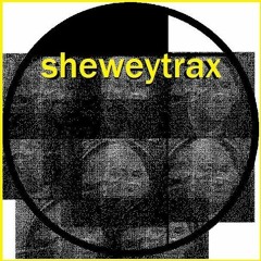 Live Better Electrically Spins Sheweytrax (Vinyl Mix)