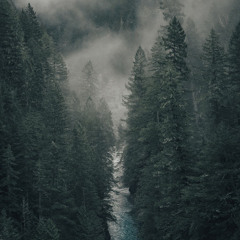 سورة الدخان بصوت القارئ إسلام صبحي.