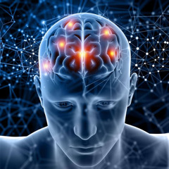 The Concept Of Being Intelligent