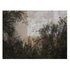 Artificial Sunlight I