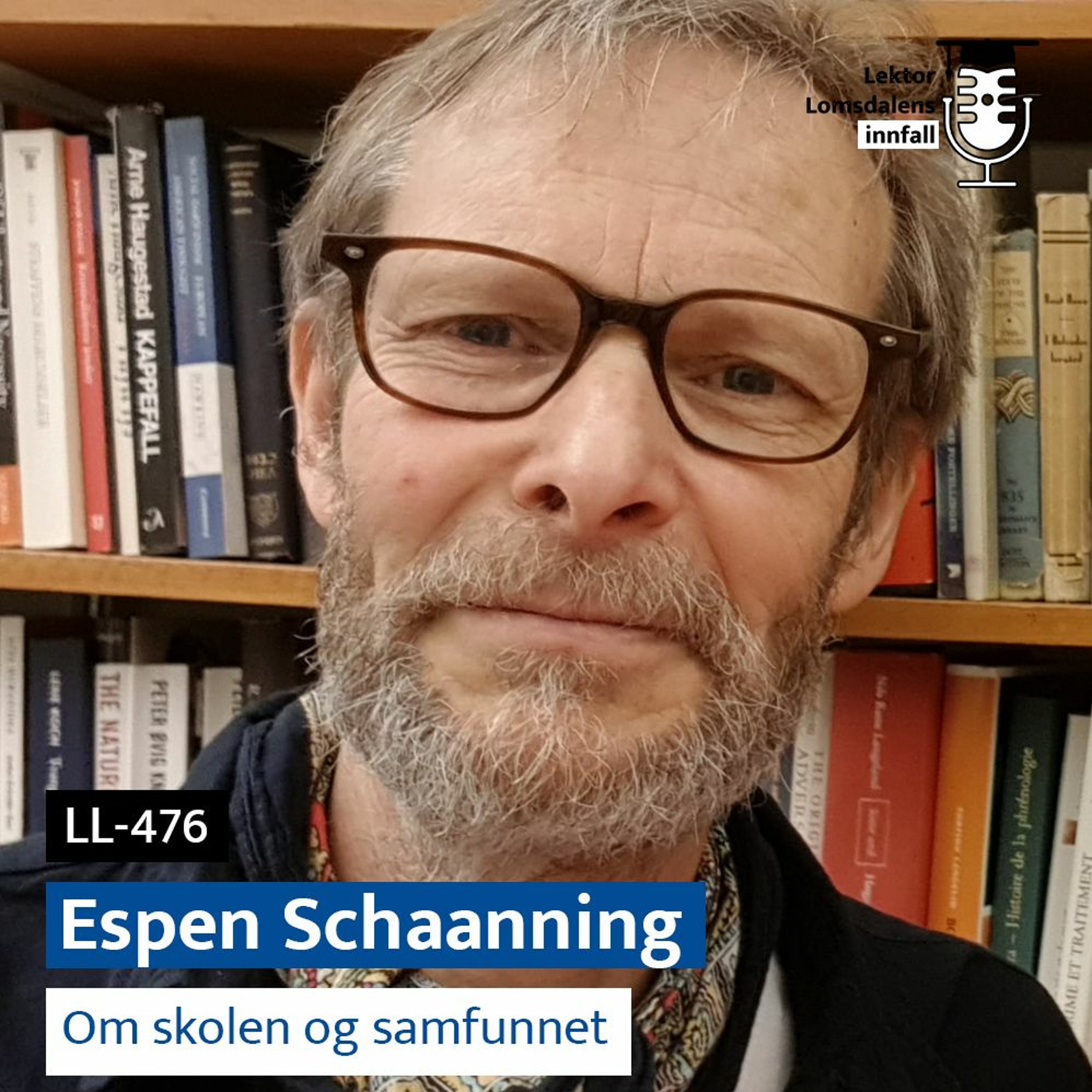 Lektor Lomsdalens innfall