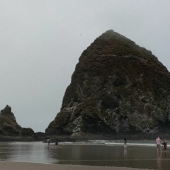 Summertime Sadness cover