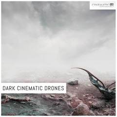 Dark Cinematic Drones