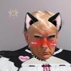 Cursed shit