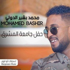 زولي هوي