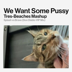 We Want Some Pussy x Brave (VIP) (Tres Beaches Flip)