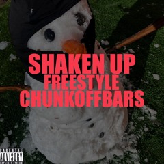 Shaken Up Freestyle