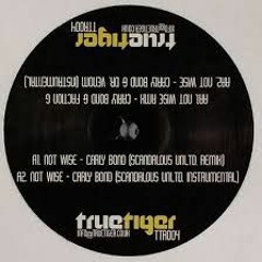 Scandalous Ft. Carly Bond - Not Wise (Craig G Remix)
